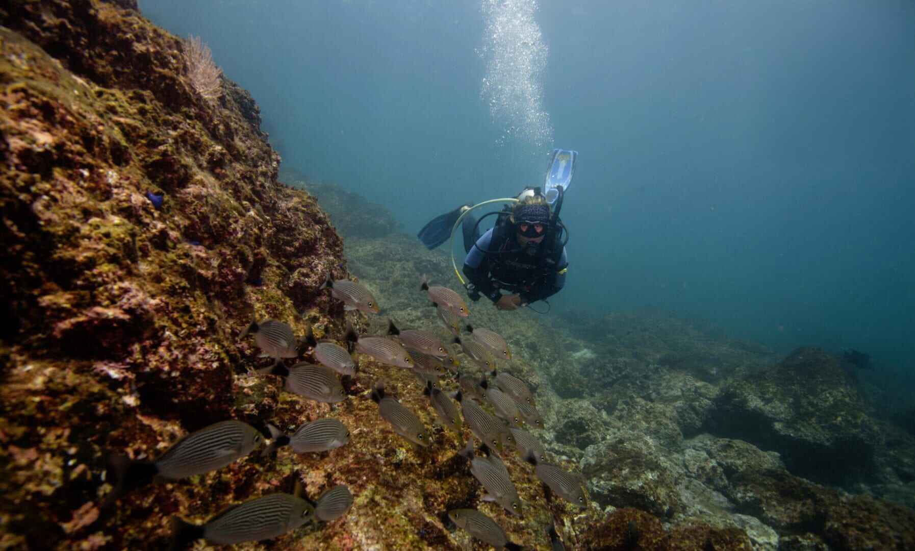 Scuba Diving