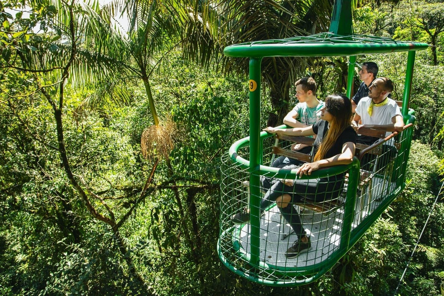 Aerial Tram Tour