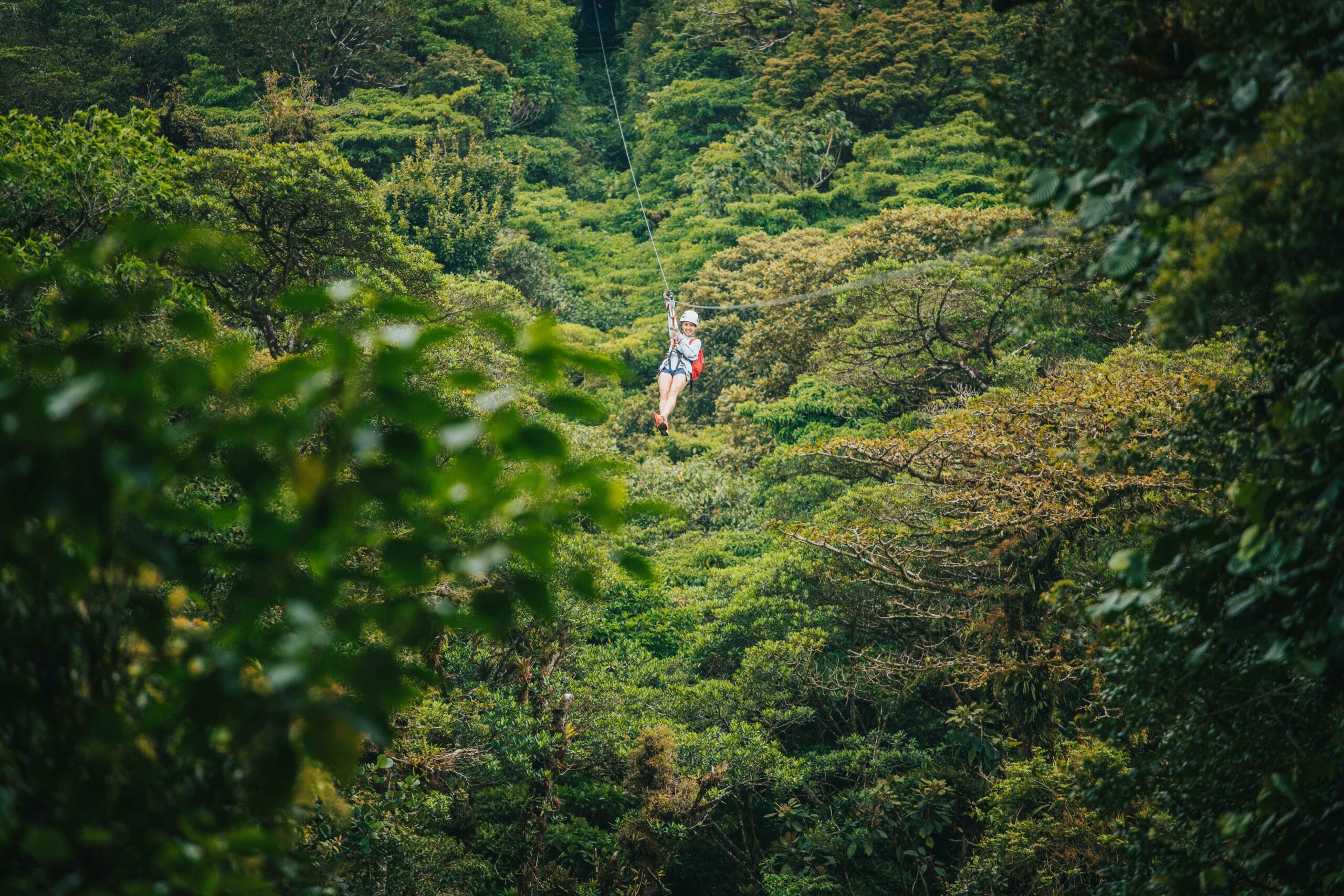 Wonders Of Monteverde Canopy